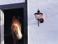 Lampy ścienne - Konstsmide Cassiopeia lampa ścienna Czarny, 1-punktowy 480-750 - miniaturka - grafika 1