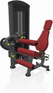 Marbo Sport Maszyna 2-w-1 na dwugłowy i czworogłowy uda MP-U216 - Atlasy do ćwiczeń Marbo Sport Maszyna 2-w-1 na dwugłowy i czworogłowy uda MP-U216 - Atlasy do ćwiczeń - miniaturka - grafika 1