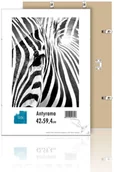 Antyramy - Antyrama A2 z plexi 59,4x42 cm AA59.4X42 - miniaturka - grafika 1