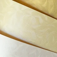 Papier do drukarek - Karton ozdobny Olympia- op. 20 A4 220 g/m - miniaturka - grafika 1