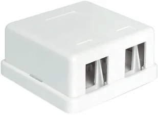 Delock Moduł KEYSTONE PUSZKA MONTAŻOWA NAŚCIENNA 2 PORTY (86207) - Pozostałe akcesoria sieciowe - miniaturka - grafika 3