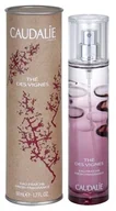 Wody i perfumy damskie - Caudalie Thé Des Vignes woda toaletowa 50ml - miniaturka - grafika 1