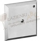 Akcesoria hydrauliczne - Hansgrohe Płytka do przepłukiwania iControl RAINDACE 15956000 - miniaturka - grafika 1