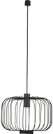 Lampy sufitowe - Nowodvorski ALLAN BLACK 6941 LAMPA WISZĽCA - miniaturka - grafika 1