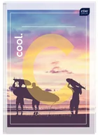 Szkolne artykuły papiernicze - Inter-druk SA BRULION A5/96 KRATKA OPRAWA PÓŁTWARDA MIX zakupy dla domu i biura BRA596P - miniaturka - grafika 1