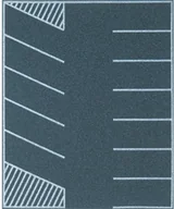 Kolejki i akcesoria - Busch Parking i pas parkingowy z 3 zatoczkami 7076 200 mm x 160 mm skala H0 - miniaturka - grafika 1