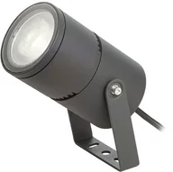 Lampy ogrodowe - Redlux Reflektor ROSS LED IP65 R11754 - miniaturka - grafika 1