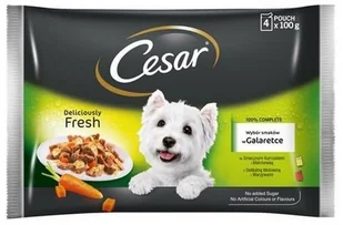 Cesar Feines wybór w galarecie, 2 smaki - 24 x 100 g - Mokra karma dla psów - miniaturka - grafika 2