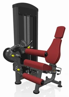 Marbo Sport Maszyna 2-w-1 na dwugłowy i czworogłowy uda MP-U216 - Atlasy do ćwiczeń Marbo Sport Maszyna 2-w-1 na dwugłowy i czworogłowy uda MP-U216 - Atlasy do ćwiczeń - miniaturka - grafika 4