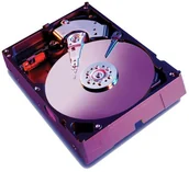 Dyski HDD - Western Digital Caviar WD2500BEVS - miniaturka - grafika 1