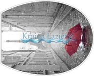 Deski sedesowe - Bisk deska wc wolnoopadająca foto paris 05797 - miniaturka - grafika 1