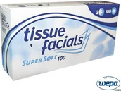 Chusteczki higieniczne - R.E.I.S. HWE-CHDECOBOX100 - chusteczki HIGIENICZNE - miniaturka - grafika 1