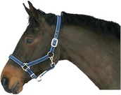 Kantary dla koni - Kantar podszywany niebieski, roz. 3 - miniaturka - grafika 1