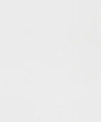 Tapety - Rasch Wallton 161304 NA FLIZELINIE - miniaturka - grafika 1