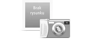 Panasonic ET-PKD130B uchwyt sufitowy - Uchwyty do projektorów - miniaturka - grafika 2
