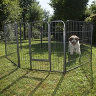 Legowiska dla psów - Zooplus Exclusive Metalowy Wybieg Dla Szczeniąt - 8 Elementów, Dł. X Wys.: 80 X 80 Cm Każdy - miniaturka - grafika 1