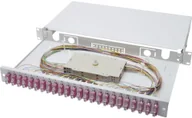 Panele krosownicze - Digitus Professional Rozdzielacz światłowodu 24 Porty SC Professional DN-96322-4 1 U - miniaturka - grafika 1