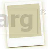 Miecze i maczety - MFH Max Fuchs () Siekiera Camping Axe - 27763 - miniaturka - grafika 1