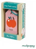 Zabawki interaktywne dla dzieci - Mudpuppy Karty do nauki - Litery i cyfry 9780735334212 - miniaturka - grafika 1
