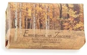 Mydła - NESTI DANTE Emozioni In Toscana Mydło w kostce toaletowe Zaczarowany Las 250g - miniaturka - grafika 1