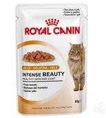 Mokra karma dla kotów - Royal Canin Intense Beauty in Jelly - Saszetka 85g - miniaturka - grafika 1