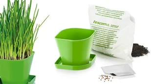 Tescoma Zestaw do uprawy ziół SENSE szczypiorek 899062 - Akcesoria i części AGD - miniaturka - grafika 3