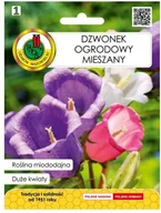 Nasiona i cebule - Nasiona dzwonek ogrodowy mieszanka 1 g - miniaturka - grafika 1