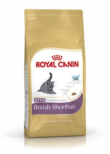 Royal Canin Kitten British Shorthair 10 kg - Sucha karma dla kotów - miniaturka - grafika 2