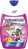 Pasty do zębów - Henkel Vademecum Junior Pasta i Płyn do Płukania Ust 2w1 Truskawka 75 ml - miniaturka - grafika 1