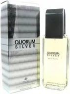Wody i perfumy męskie - Antonio Puig Quorum Silver Woda toaletowa 100ml - miniaturka - grafika 1