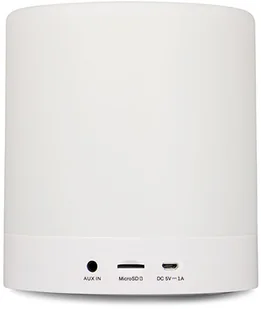 Blaupunkt BTL 100 - Głośniki przenośne - miniaturka - grafika 2