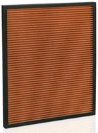 Akcesoria i części AGD - Filtr mikrobiologiczny do AP 100 - miniaturka - grafika 1