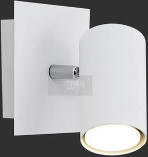 Trio Reflektorek x1 Seria 8024 802400101 - Lampy pozostałe - miniaturka - grafika 3