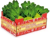 Zabawki AGD - Small Foot Design Kalarepa w Skrzyneczce (12 sztuk) 9855 - miniaturka - grafika 1