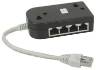 Kable światłowodowe - InLine 69938 rozdzielacz ISDN 8 X RJ45 Female 15 cm kabla z endwiderstaenden 4043718013166 - miniaturka - grafika 1