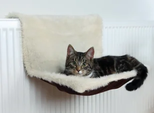 Trixie Legowisko dla kota na grzejnik nr kat. 43141 - Legowiska dla kotów - miniaturka - grafika 2