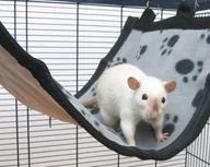 Klatki dla gryzoni - Savic Relax De Luxe Large Hamak - miniaturka - grafika 1