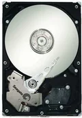 Dyski HDD - Seagate ST3500620AS - miniaturka - grafika 1