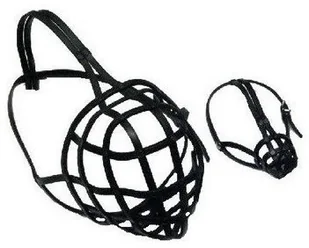 Chaba Kaganiec Skóra 2 - dla spaniela małego 2261 - Kagańce dla psów - miniaturka - grafika 2