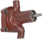 Części i akcesoria do maszyn rolniczych - Pompa wodna, Chełmno - miniaturka - grafika 1