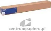 Papier do drukarek - Epson Papier w roli Photo Paper Gloss 24 x 30 5 m 250g m2 [C13S041893] - miniaturka - grafika 1
