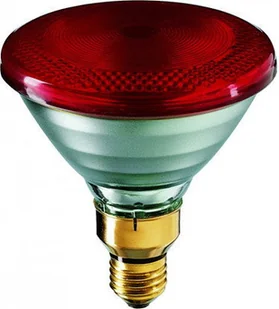 Philips Żarówka Philips HUE 6 5W GU10 - Świetlówki - miniaturka - grafika 30