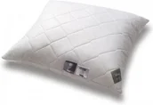 Poduszki - AMZ Szamotuły Kolekcja Batyst - Jasiek Poduszka Termo 40x40 cm włókno ADVANSA 4 (D629-115C3) - miniaturka - grafika 1