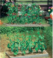 Kolejki i akcesoria - Busch Grządki z ogórkami i pomidorami w skali H0 BU - miniaturka - grafika 1