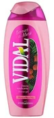 Kosmetyki do kąpieli - Vidal Berries & Musk żel pod prysznic 250ml - miniaturka - grafika 1