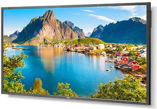 NEC MultiSync E805 - Monitory reklamowe i wyświetlacze NEC MultiSync E805 - Monitory reklamowe i wyświetlacze - miniaturka - grafika 2