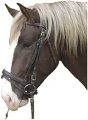 Ogłowia - Ogłowie na konie zimnokrwiste brązowe - miniaturka - grafika 1