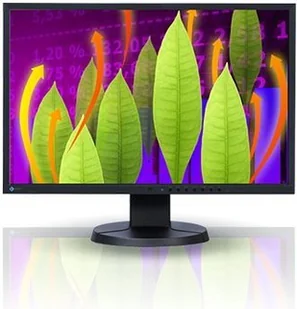 Eizo FlexScan EV2216WFS3 (EV2216WFS3-BK) - Monitory - miniaturka - grafika 2