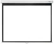 Ekrany projekcyjne - Optoma DS-3120PMG + obrazy na płótnie na ścianę biały DS-3120PMG - miniaturka - grafika 1