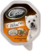 Mokra karma dla psów - Cesar Senior Vital 10+ 24 X 150 G - Kurczak I Ryż - miniaturka - grafika 1